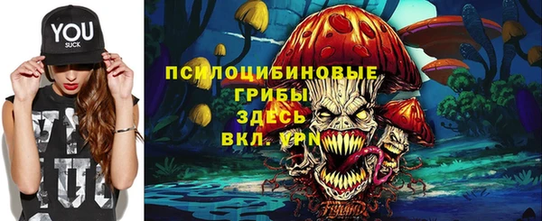 винт Алзамай