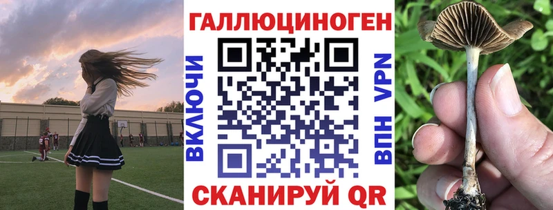 Галлюциногенные грибы Psilocybe  Салават 