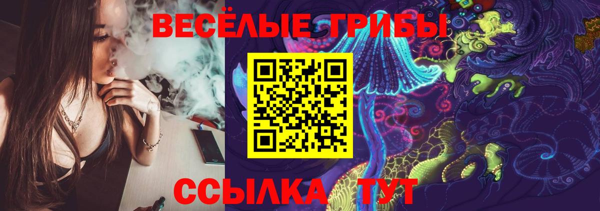 Галлюциногенные грибы мухоморы  купить наркотики сайты  Салават  Вход с VPN 